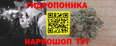 не бодяженный Шелехов